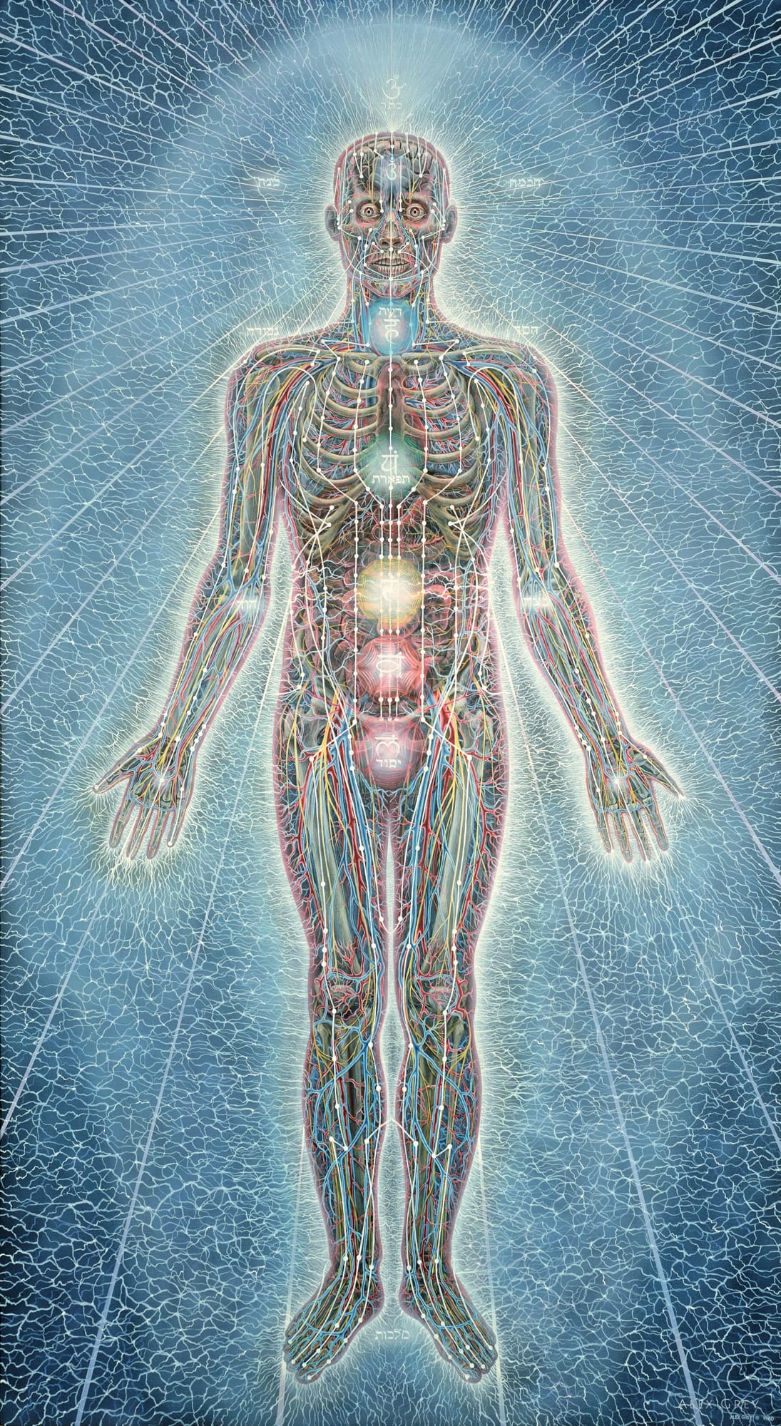 Photo by Alex Grey