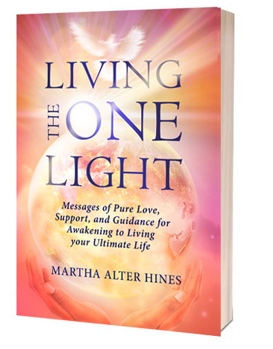 Living the One Light Book Cover