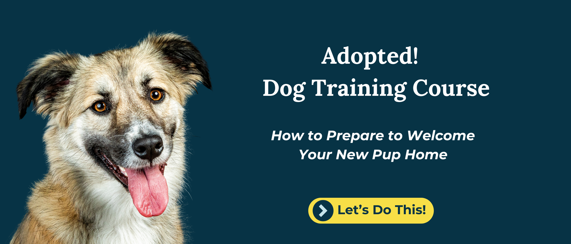 an image of a shepherd mixed breed dog as a banner for a free adopted dog course that covers how to help a dog settle into their new home by fearless pet