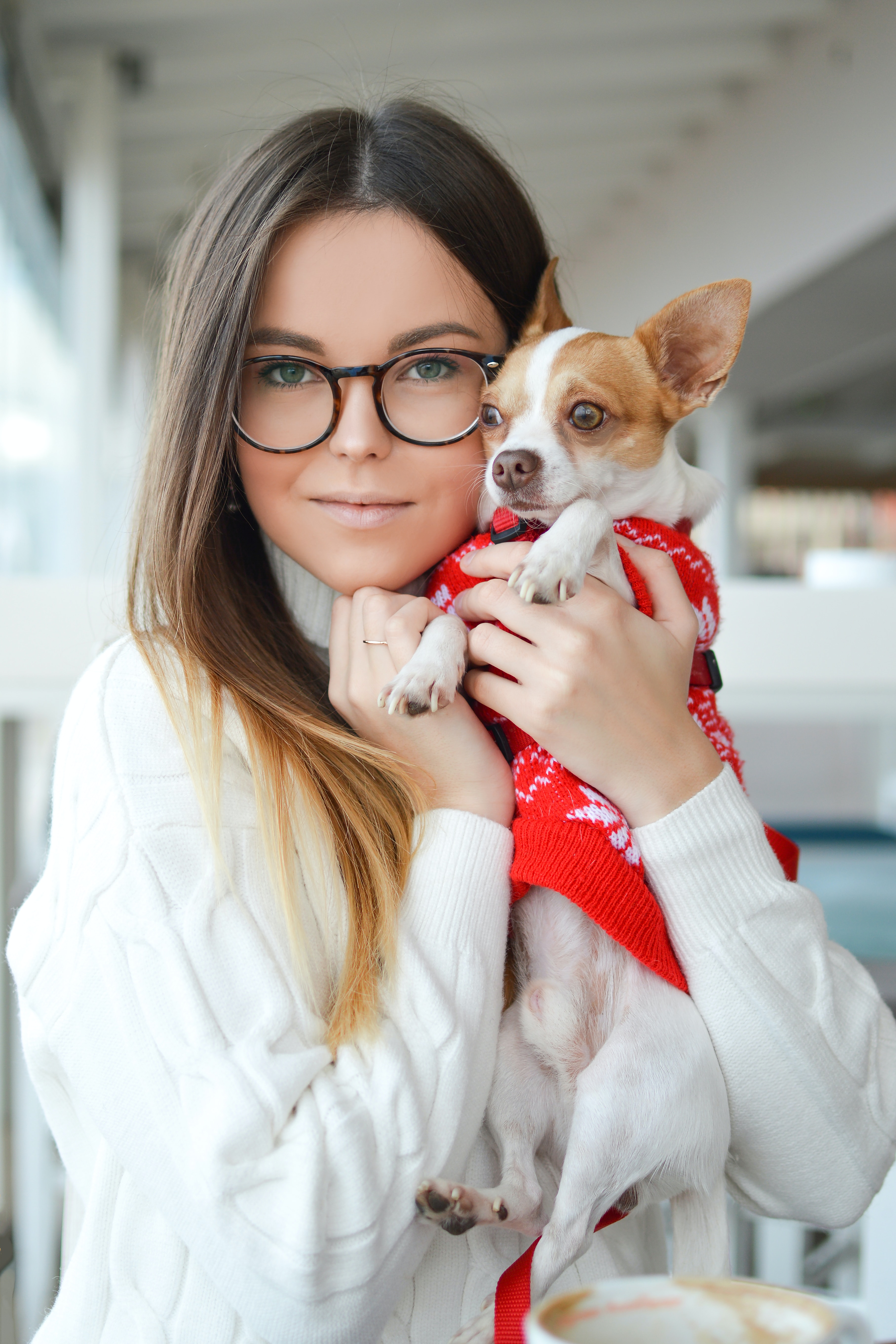 Here’s what you can expect with T’s Puppy Playbook online training program:  Clearly Communicate With Your Puppy: Distance and distractions wont hinder communicating with your puppy. Most courses teach just one line of communication. Our program is different. With three types of communication at your disposal, your pup will quickly learn to obey your commands.  Say Goodbye to Problem Behaviors: Barking and leash-pulling will become distant memories as your pup transforms into a well-behaved companion.  Get Consistent Obedience: Your puppy will learn how to listen and follow your cues, even without using treats as a reward.  Create the Ultimate Connection: Theyll look up to you for guidance, building an unbreakable bond of trust.  Simple  Fun Training Experience: You will learn how to make your puppy’s dreams come true through your proper leadership, making training an enjoyable experience for both of you.  Confidence in All Social Situations: Watch as your canine companion becomes exceptionally well-behaved in public, turning heads wherever you go.  Calm Amid Chaos: With our program, your puppy will maintain its composure even amidst high distractions. Unlock these benefits and more with our training program, guiding you toward a harmonious and rewarding relationship with your beloved pup.Whats In This Course?       01 Getting Started: The Foundations of Training and What Motivates Your Puppy Welcome to the Basics Establishing a Feeding Schedule Teaching Positive Markers For Behaviors You Want to Reward Defining Leadership and Kindness Mamas Cafe: A Story to Illustrate How Your Puppy Makes Decisions The Pressure Continuum: Your Puppy Makes Choices to Gain Something or Avoid Something PARR–Understanding Your Puppys True Motivation FAIR–The Secret to Helping Your Dog Know its on the Right Track       02 Communicate Using the Powerhouse Skill of Body Language, Establishing Your Puppys Visual Line of Communication Demonstration of 3 Lines of Communication Using Obstacles to Help Your Puppy Practice On and Off Through Visual Communication (Body Language) Sit Through Visual Communication (Body Language) Lie Down Through Visual Communication (Body Language)       03 Easily Communicate Through the Leash Using the Physical Line of Communication When to Use Different Kinds of Leashes Start Using the Leash Sit Through Physical Communication Lie Down Through Physical Communication Here Through Physical Communication Loose Leash Walking       04 Mastering Vocal Commands + Pro Tips to Quickly Stop Poor Behavior Introducing Vocal Commands Here Through Vocal Commands (Verbal Communication) Establishing Personal Space Using Personal Space to Stop Jumping Using Negative Markers: Teaching Your Puppy What NOT To Do Three Simple Steps to Stop Unwanted Behaviors       05 Eliminate Jumping Up + Teach Proper Bed Etiquette Introducing the Jumping Series End Jumping Problems by Using Physical Space Up and Off to Stop Jumping Using Negative Markers and Wrapping Up the Jumping Series Holding a Position Such as Sitting or Lying Down Introducing the Bed Staying on the Bed Sending Your Dog to Its Bed When You Need a Break Sending to the Bed From a Distance Staying on the Bed–Even With Distractions       06 Good Leadership  Integrating Puppy Skills Into Real Life Establishing the Tap as Physical Communication The Importance of Time and Timing: Telling Your Puppy Exactly What Good Behavior Youre Looking For A Trick for a Treat vs. Good Leadership Clipping Nails and Handling Your Dogs Feet Tying Things Together and Taking the Puppy Skills Quiz Wrapping Up and Addressing Common Problems
