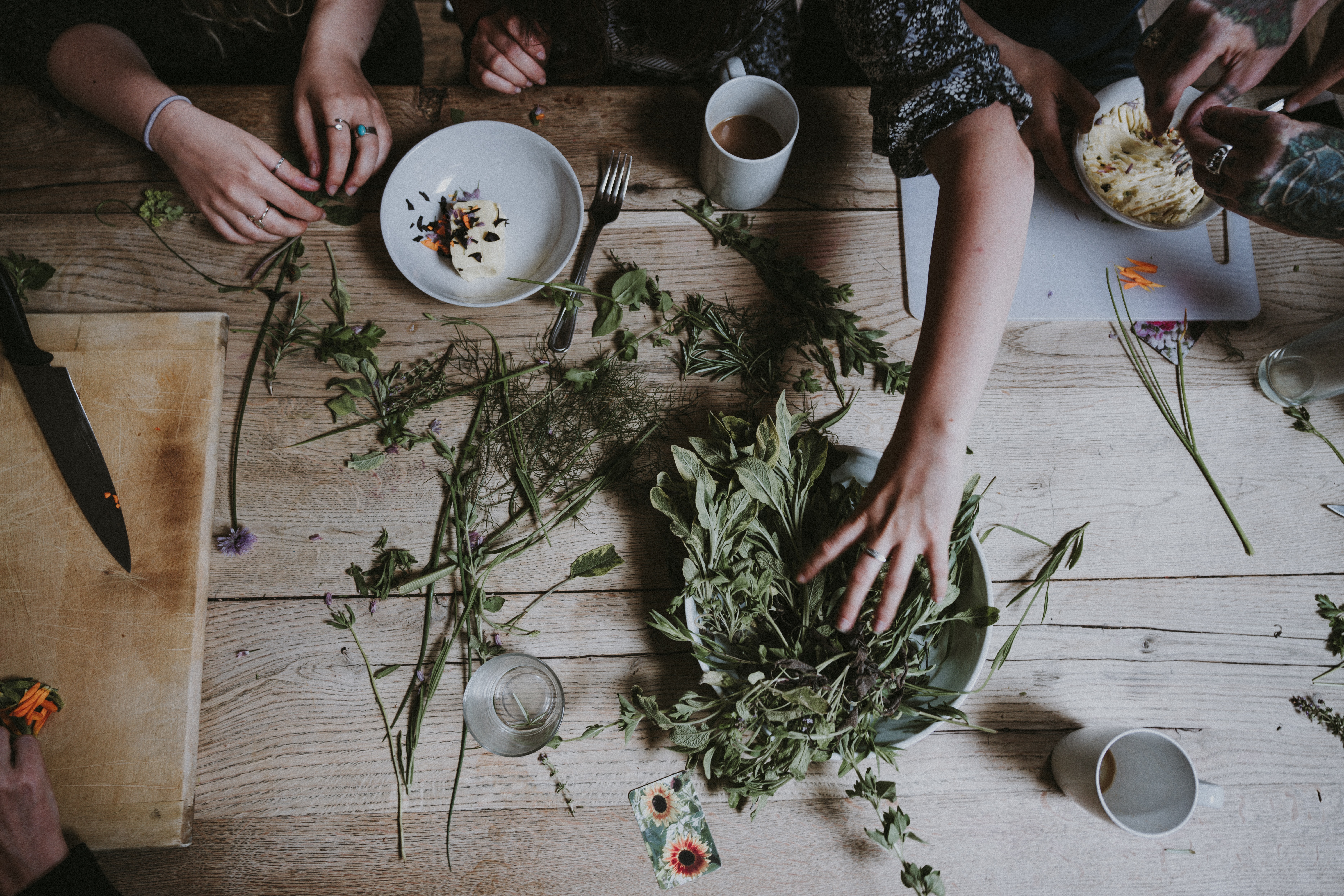 From Seed to Table Organic Gardening and Preserving Course