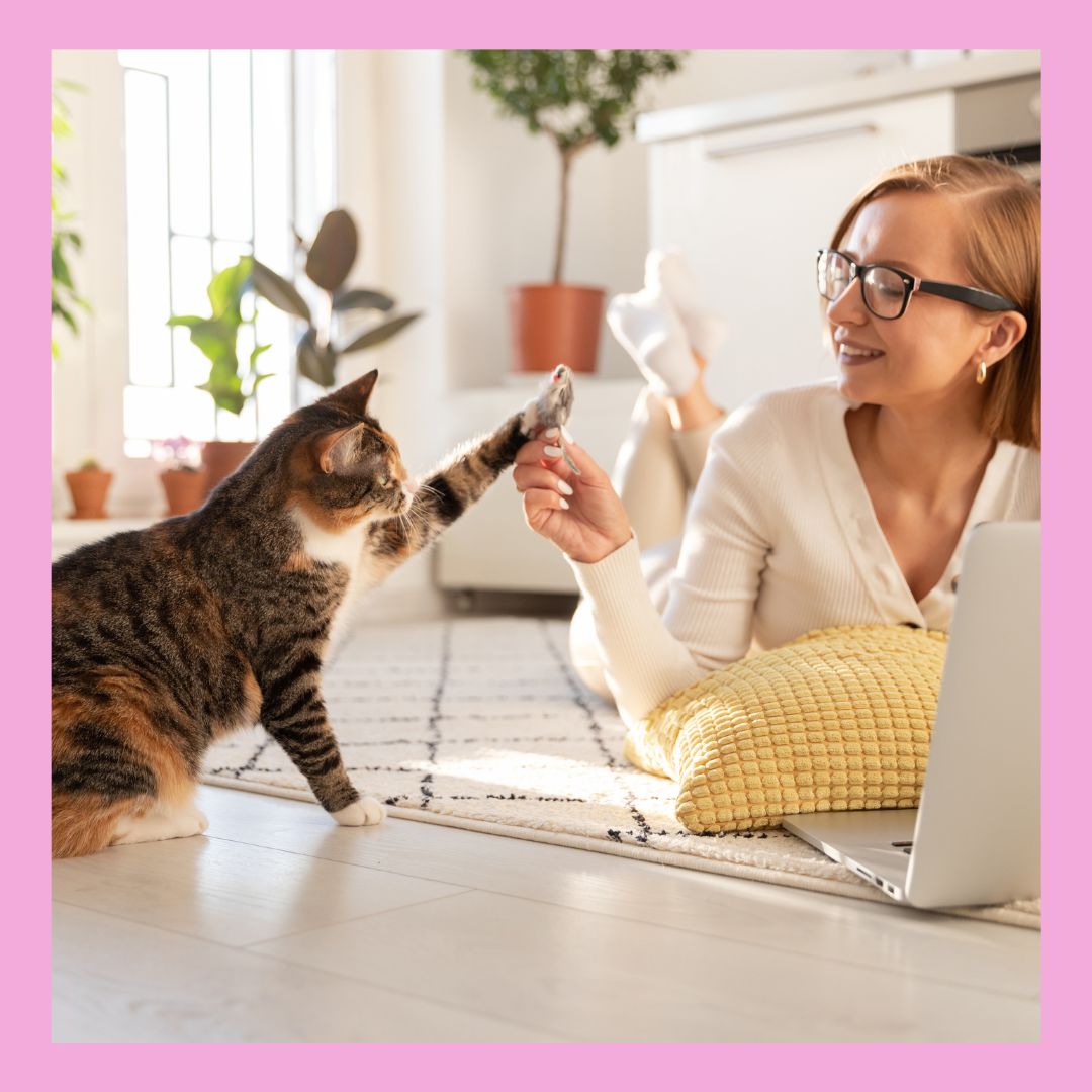 create an online course for pet owners