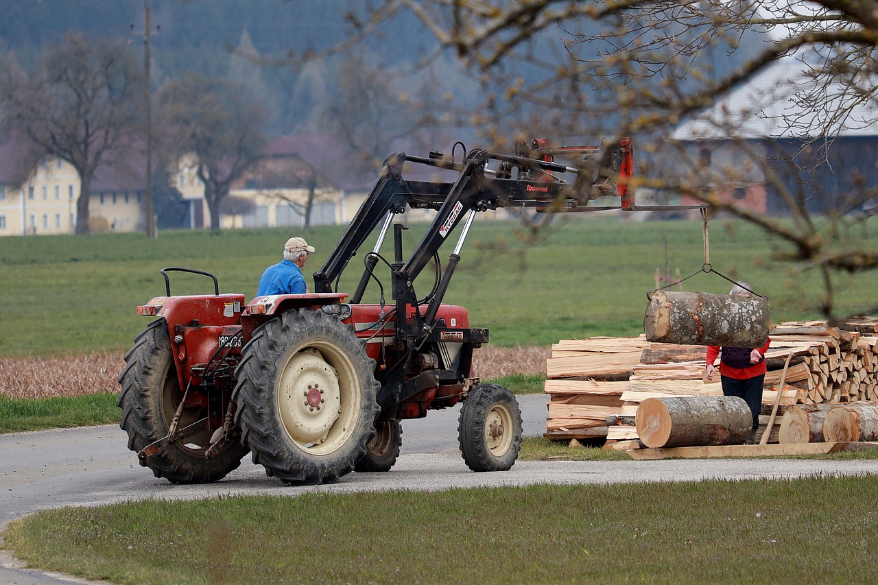 Vendita di legna da ardere  Attività forestali e vendita legnami