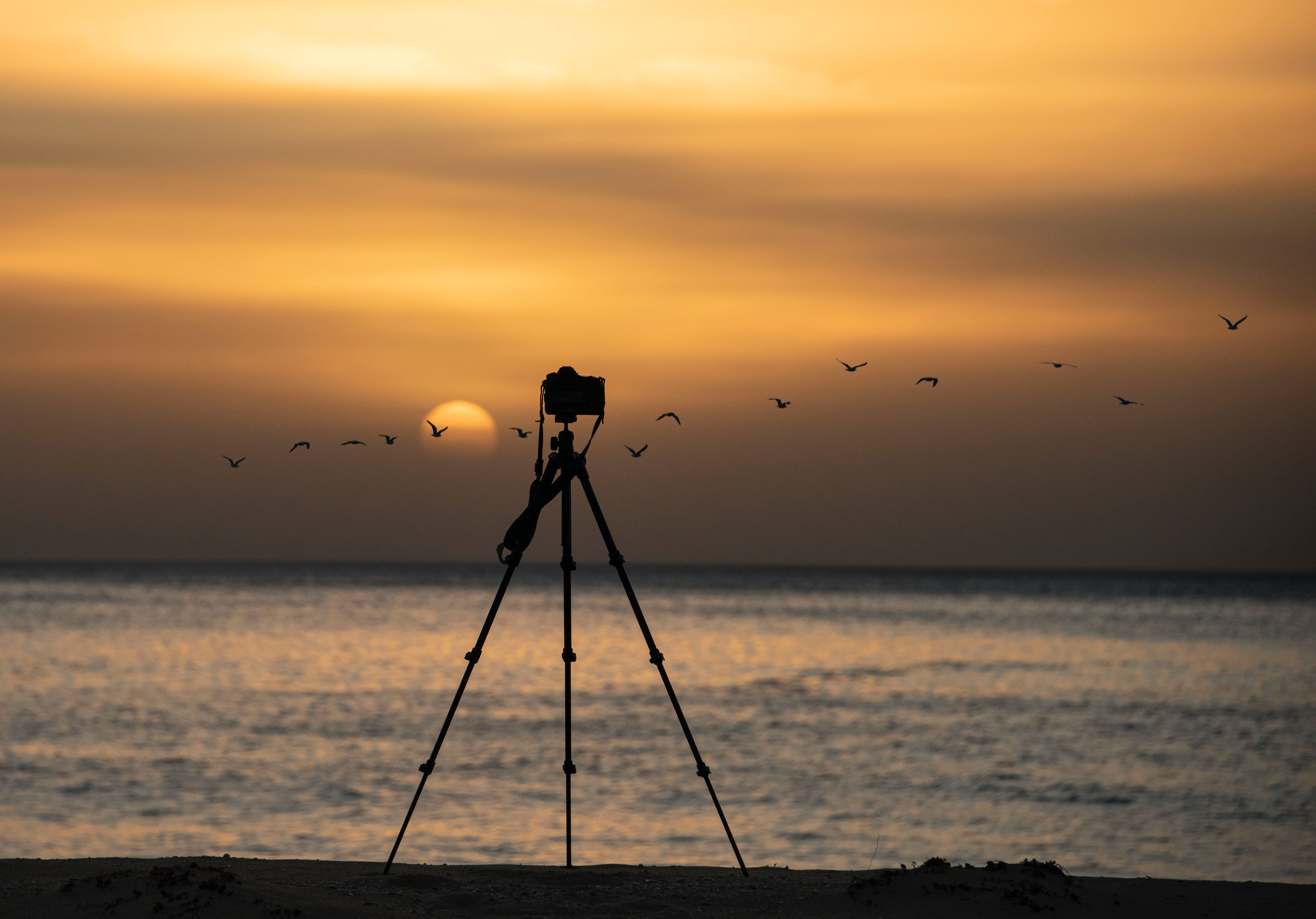boîtier d&#39;appareil photo sur un trépied sur une plage en fin de journée coucher de soleil