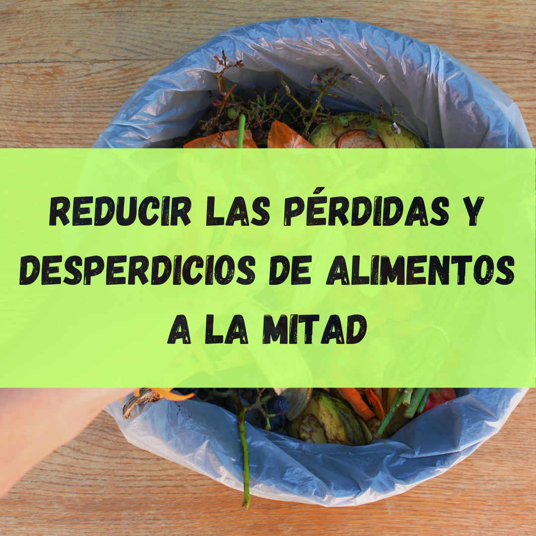 Diseño higiénico