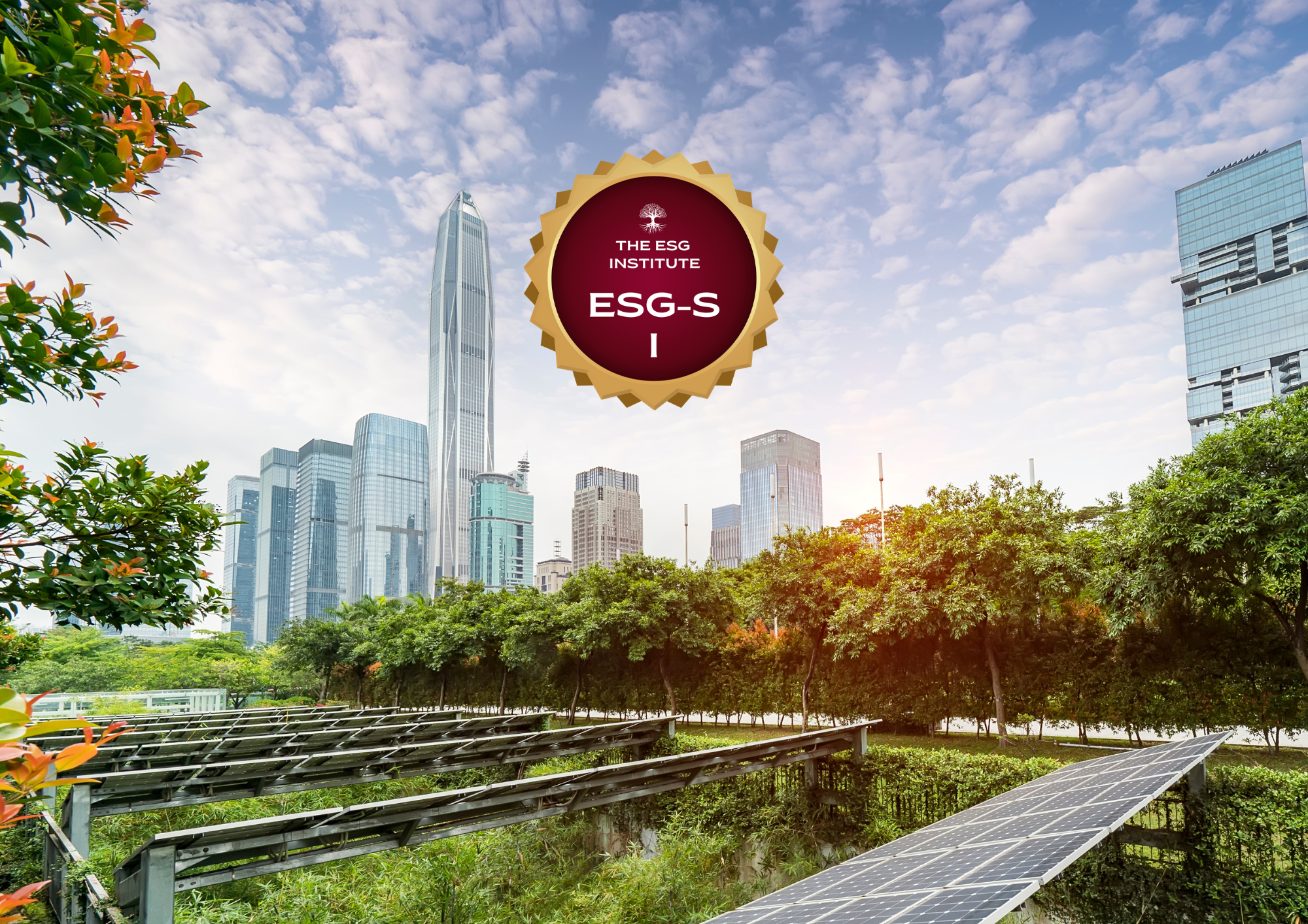 Certificate in ESG Strategy