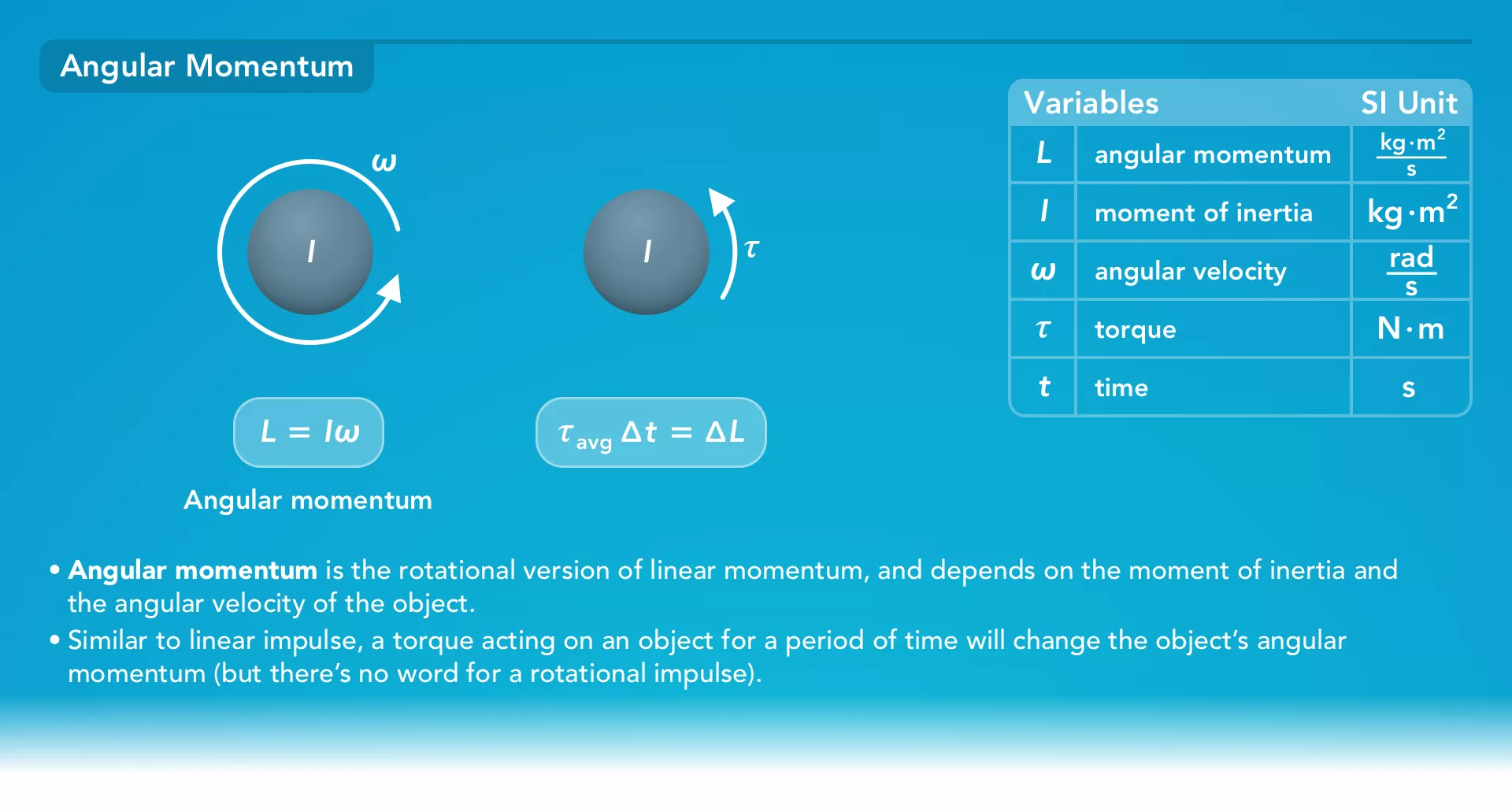 Momentum study quide