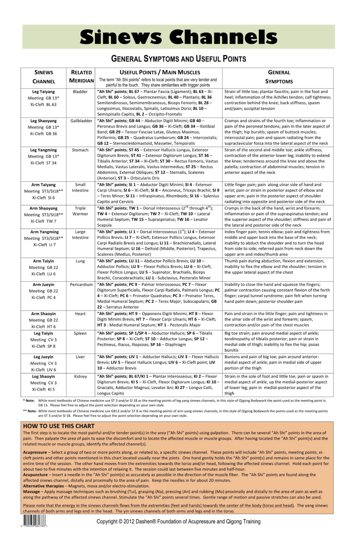 Sinew Channels Double-Sided Poster