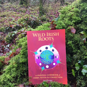 Wild Irish Roots: A Seasonal Guidebook of Herbs, Ritual and Connection