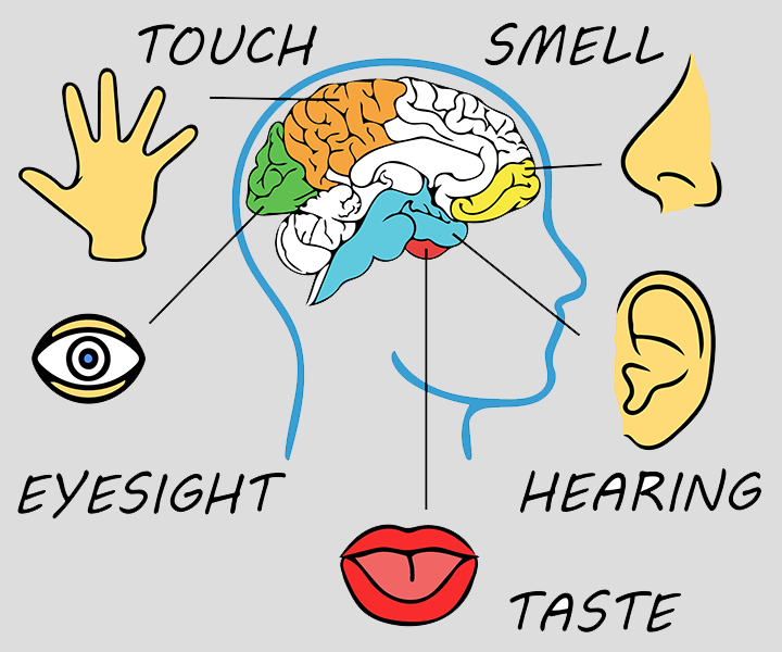 Representational system