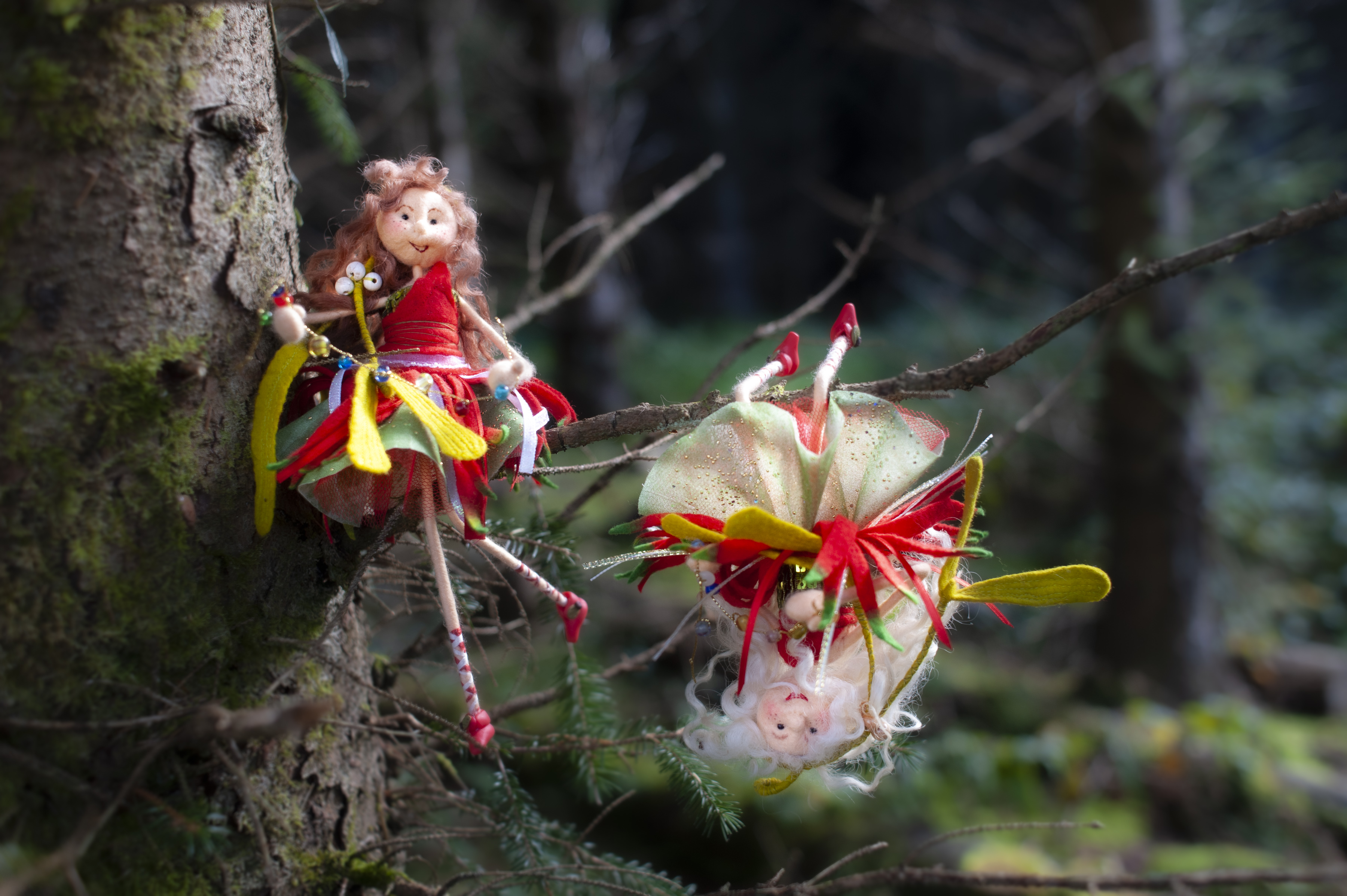 fairies on tree