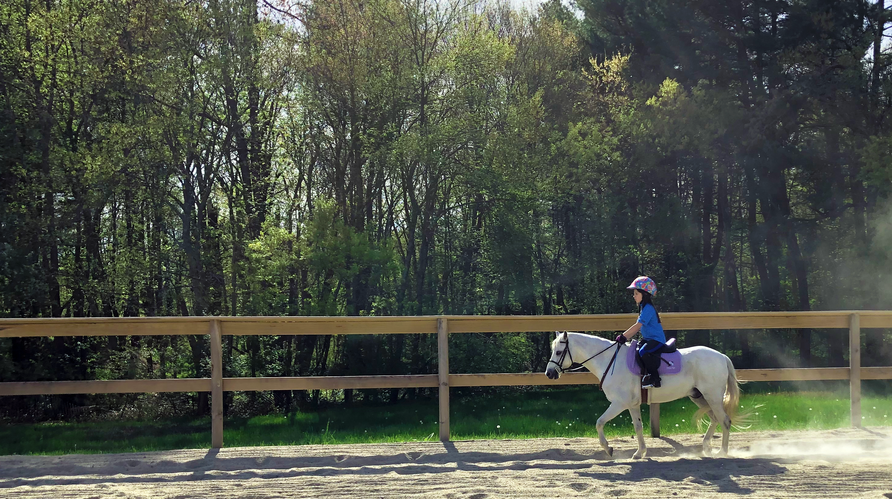 Pony Pals Club with Capstone Farm