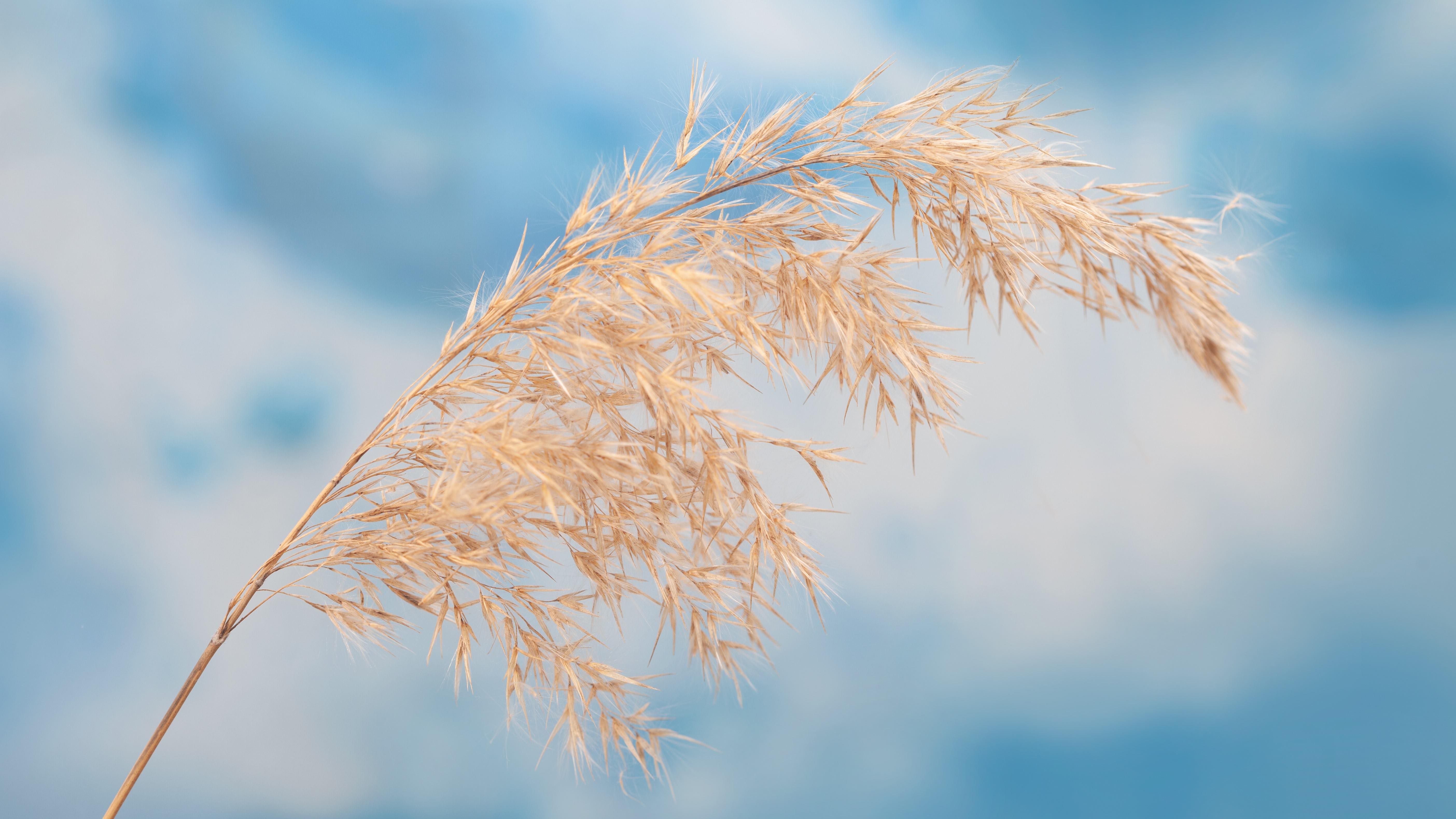 Mindfulness hjälper dig att minska din stress och oro och ger dig samtidigt bättre återhämtning.