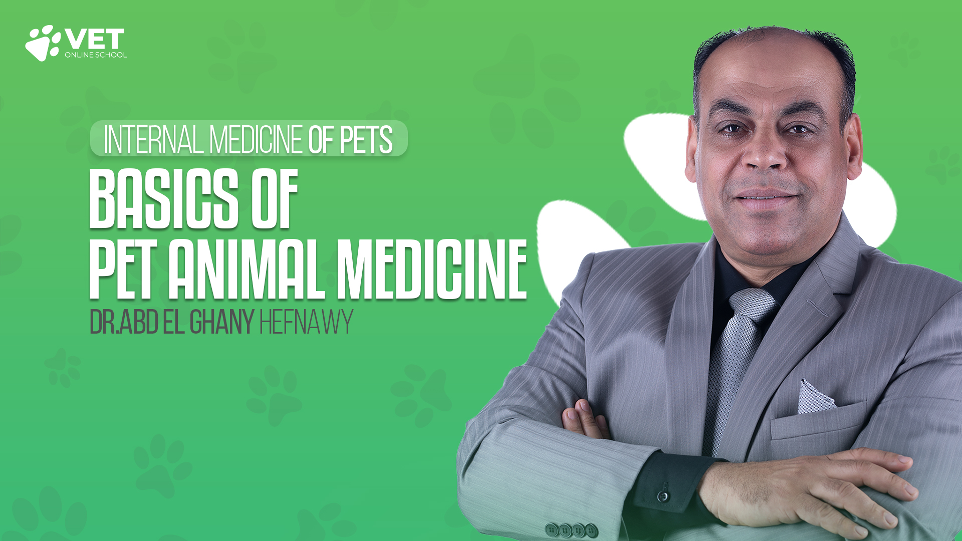 introduction-to-pet-animal-medicine-vet-online-school