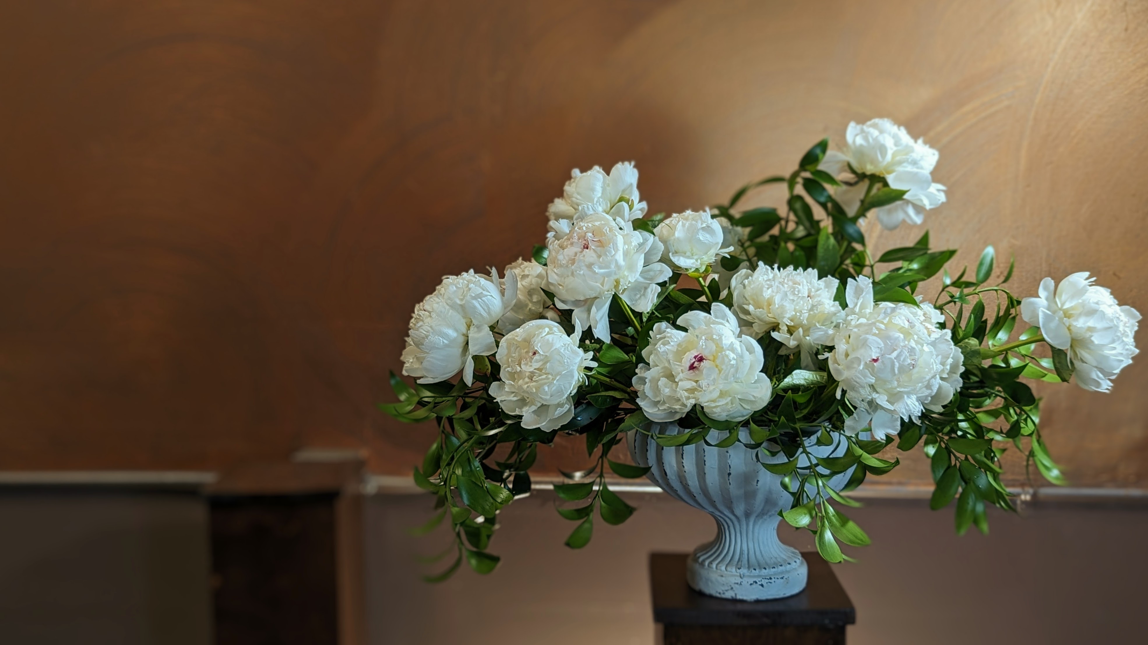 Large Footed White Peonies