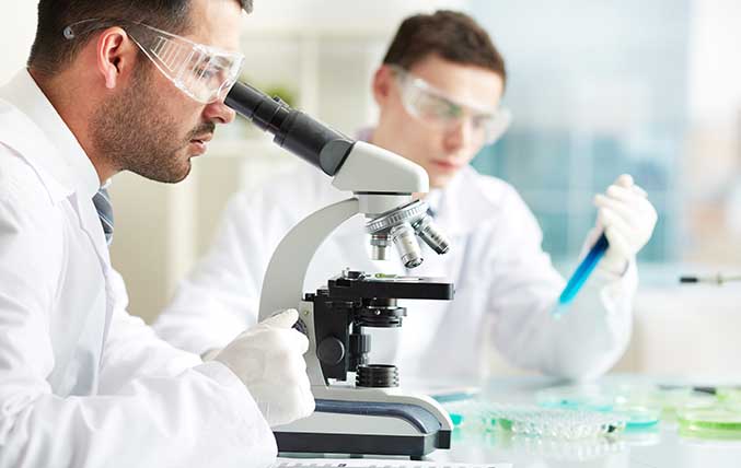 Medical Device Single Audit Program (MDSAP)