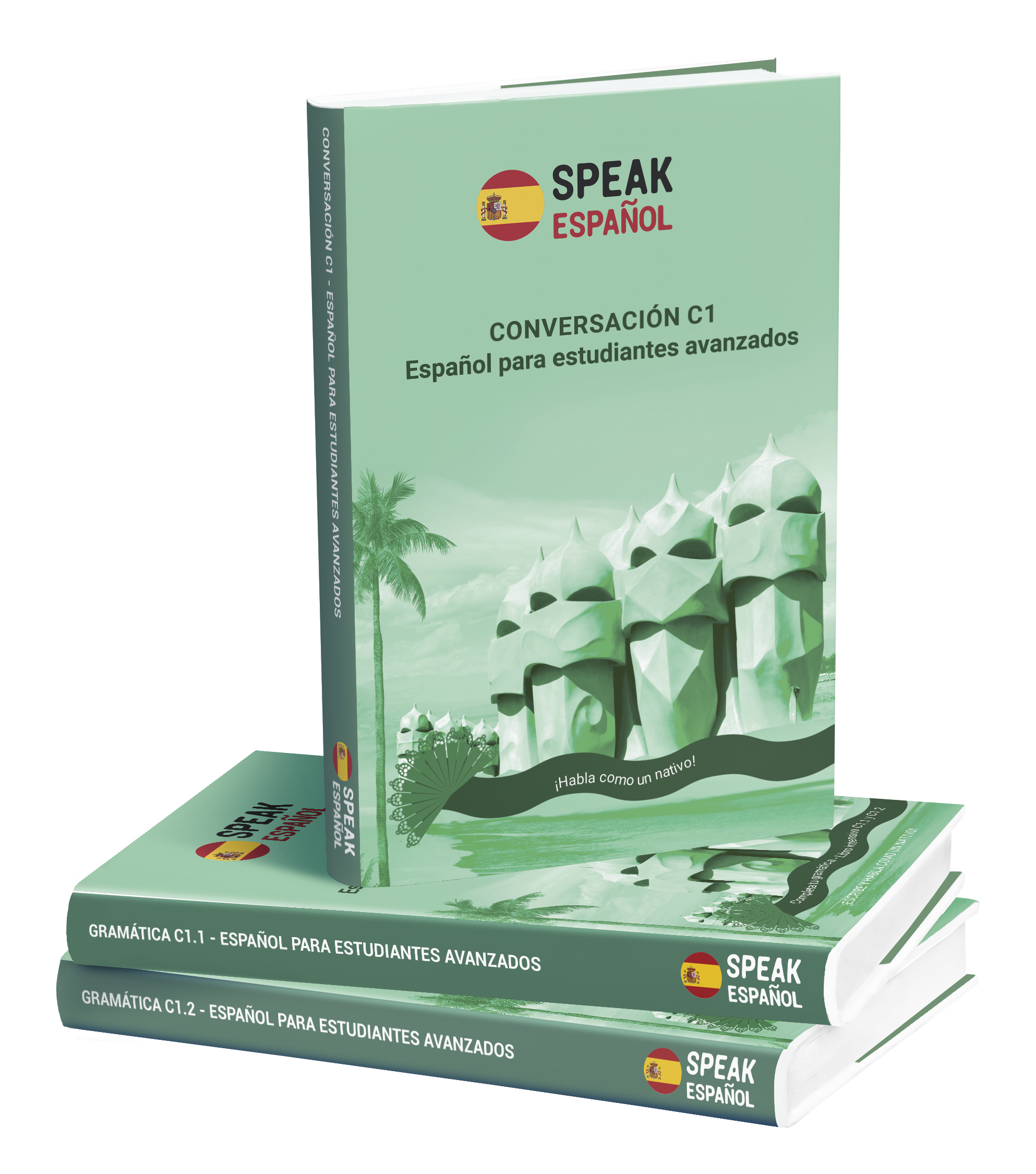 C1 level Spanish books and intensive course 