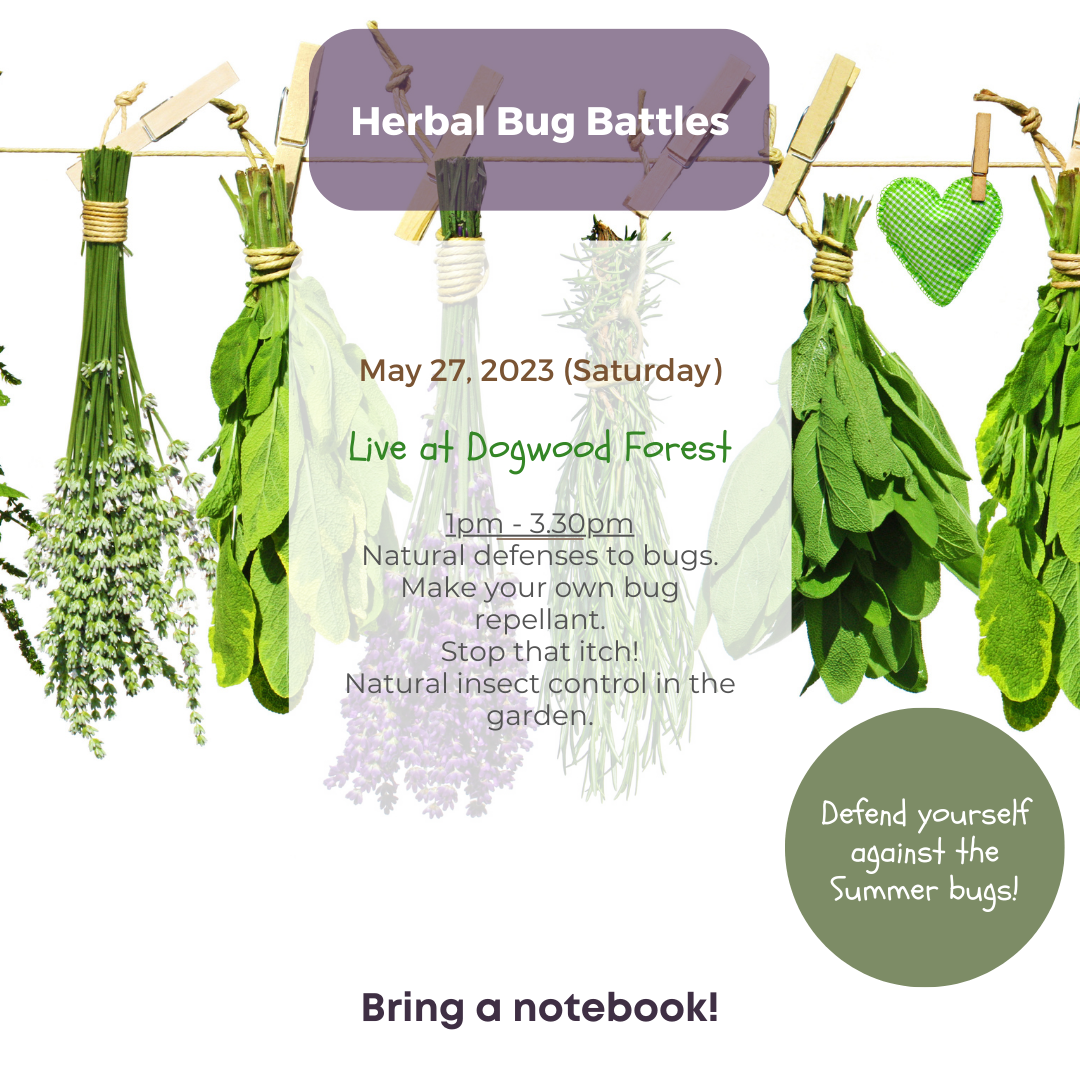 Herbal Bug Battle