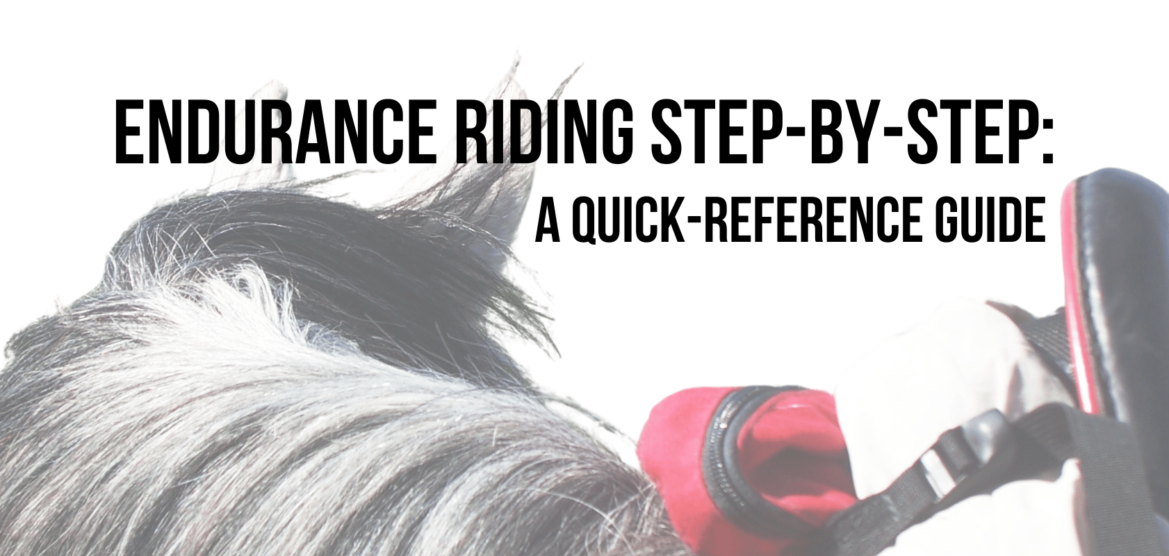 Endurance Riding Guide