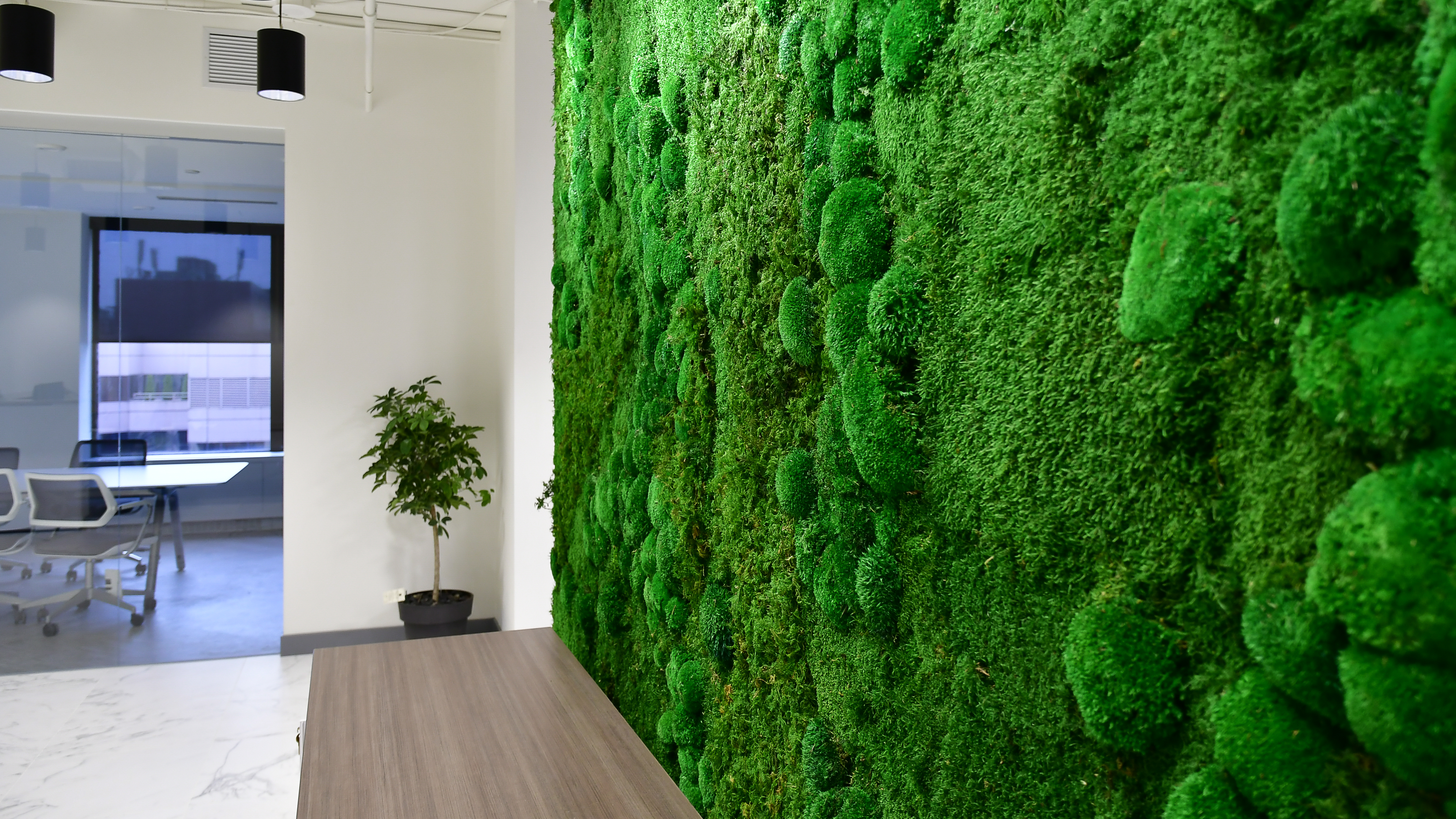 Bun Moss Wall