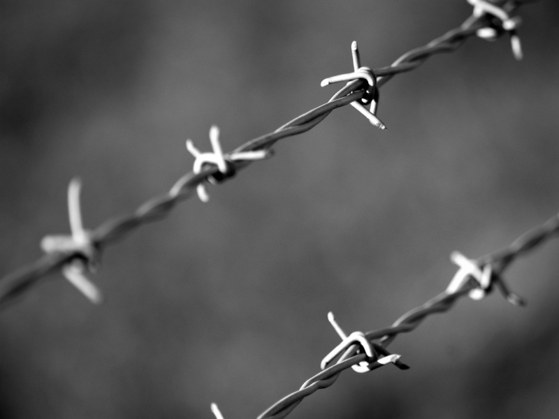 Barbwire