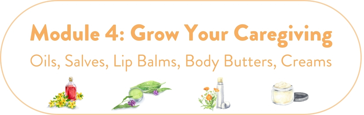Module 4: Grow Your Caregiving: Oils, Salves, Lip Balms, Body Butters, Creams