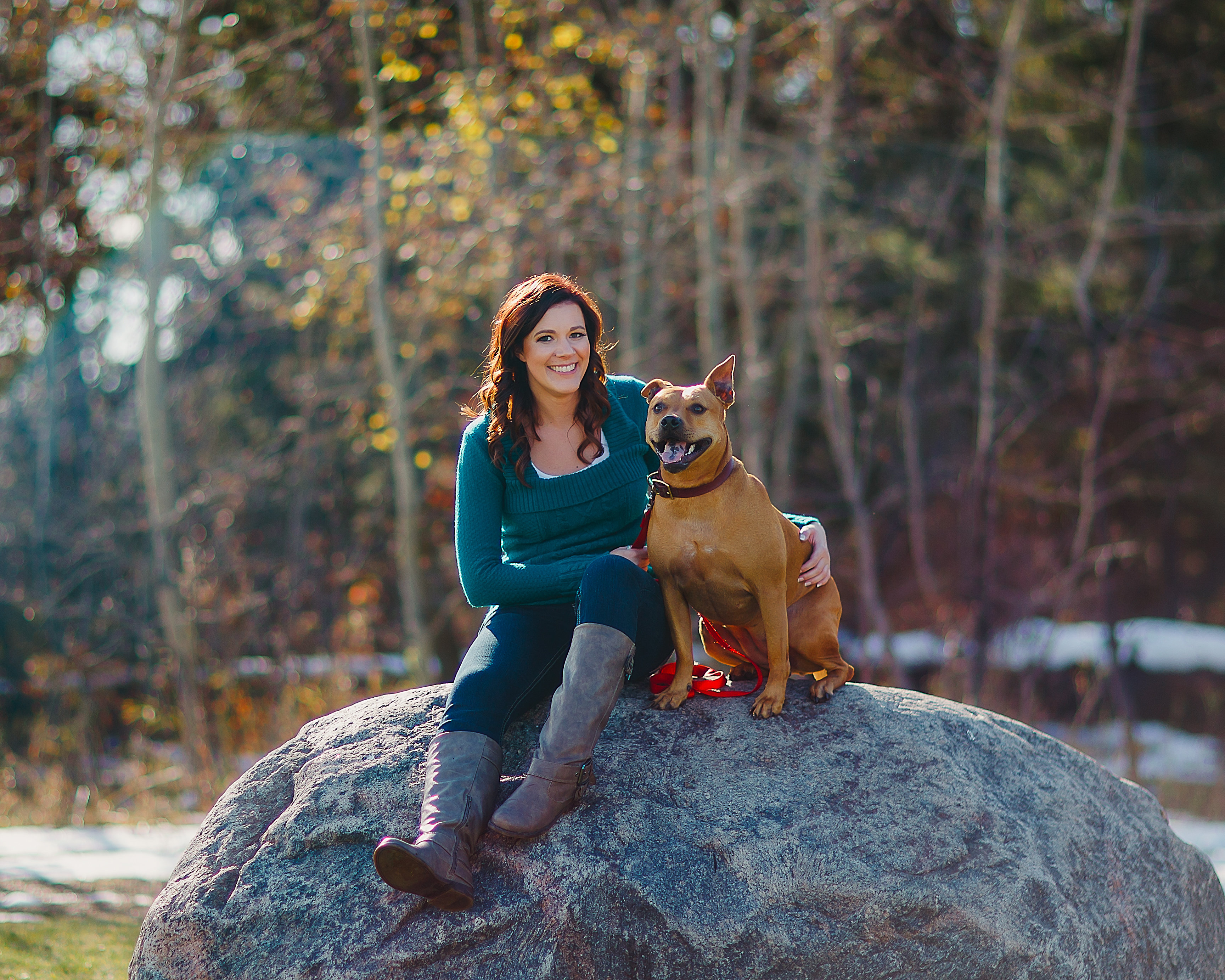 animal assisted therapy training