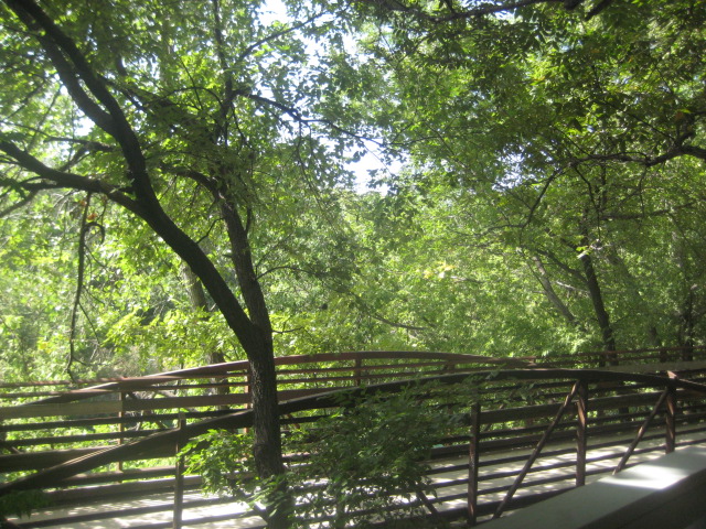 Pedestrian bridge crossing a river and trees