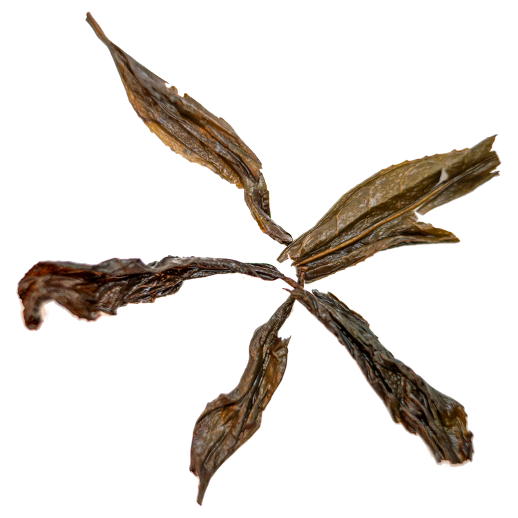 da hong pao