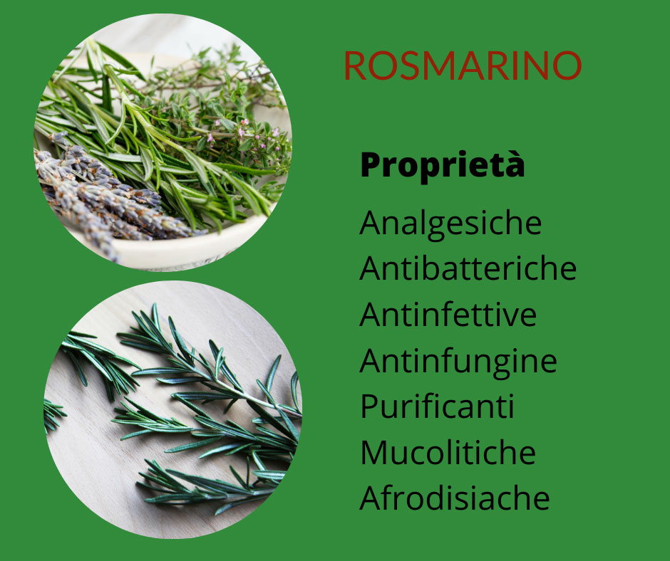 olio corso massaggio rosmarino chakra