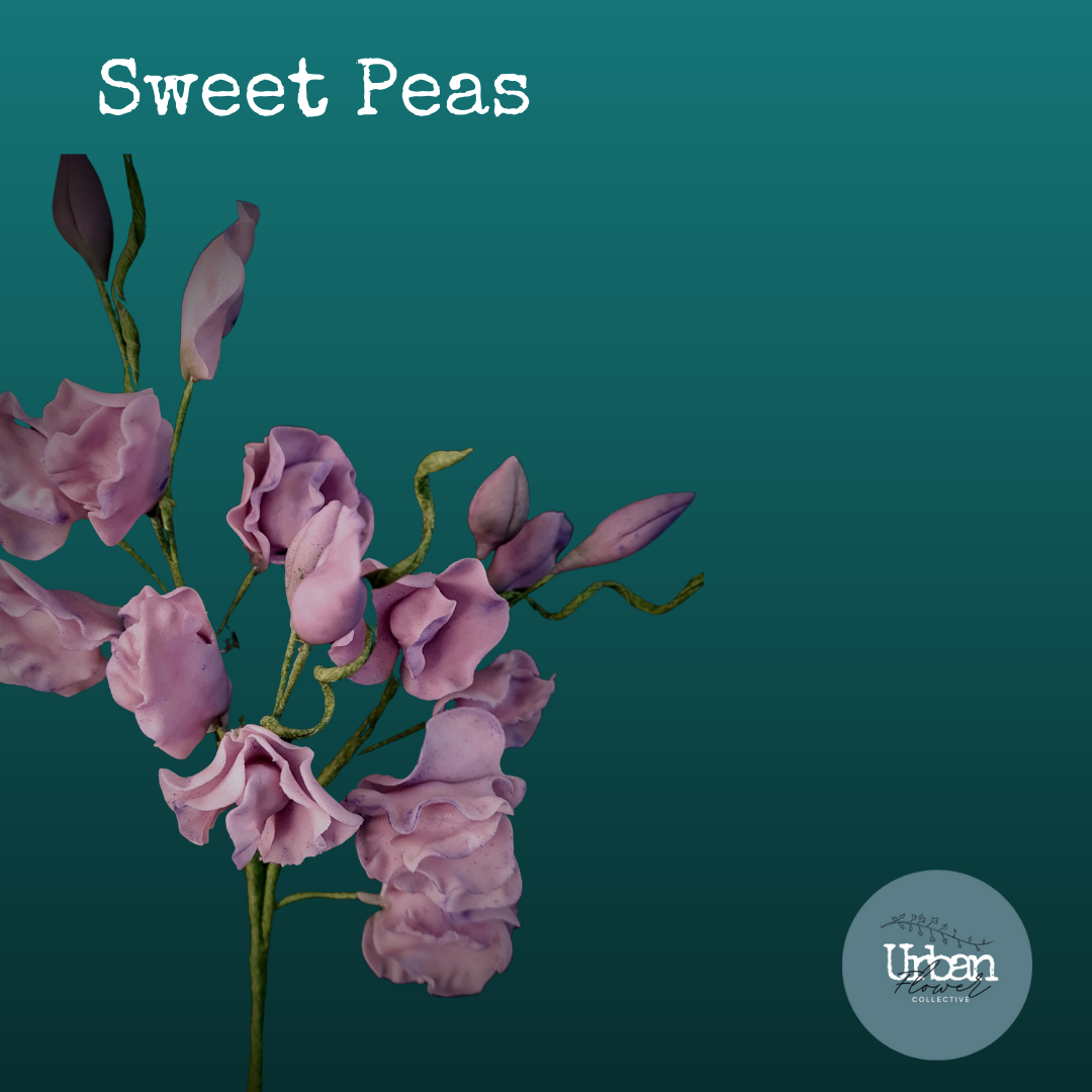 sweet peas