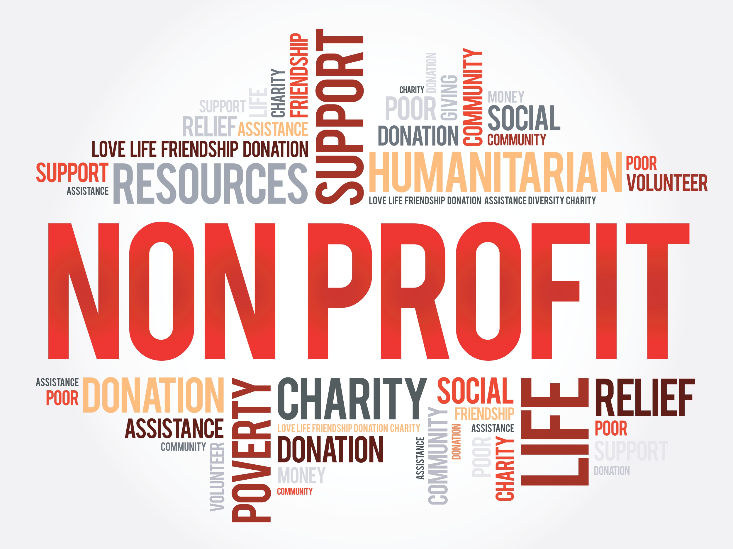 How To Build A Successful NonProfit The Purple Circle